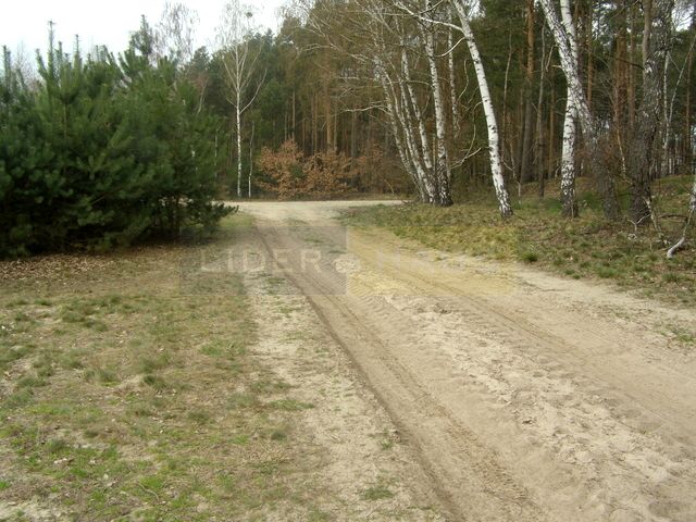 Działka budowlana Dębina