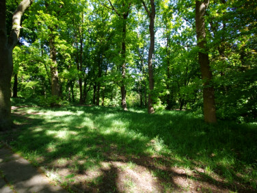 Mieszkanie Gorzów Wielkopolski