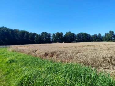 Działka rolna Dankowice
