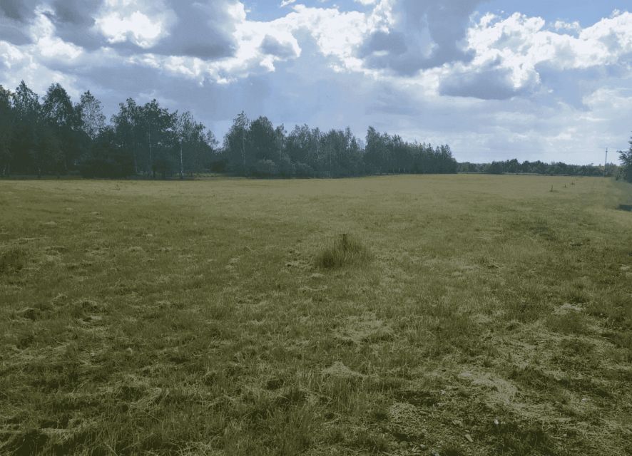 Działka Nowe Grochale