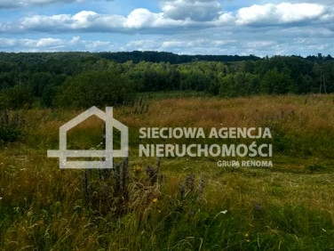 Działka budowlana Trzepowo