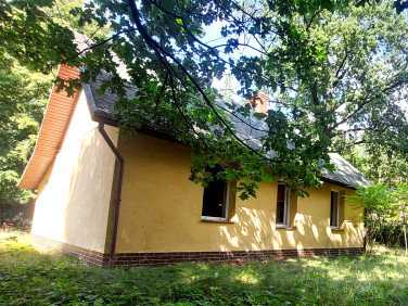Dom Mogilno