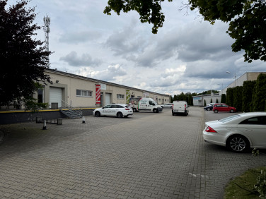 Lokal Zduńska Wola