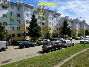 Mieszkanie Kutno sprzedaż