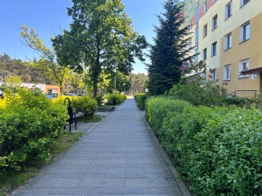 Mieszkanie Nowa Sól