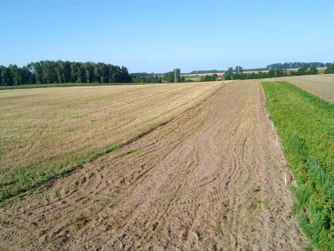 Działka rolna Golczewo