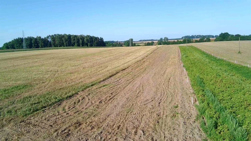 Działka rolna Golczewo