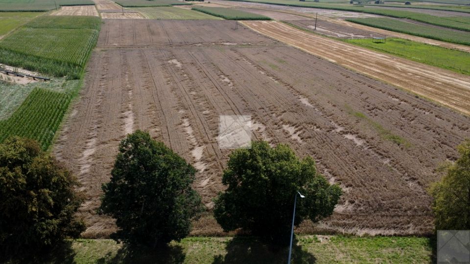 Zdjęcie 3