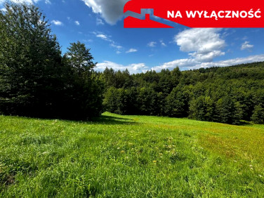 Działka budowlano-rolna Wola Lubecka