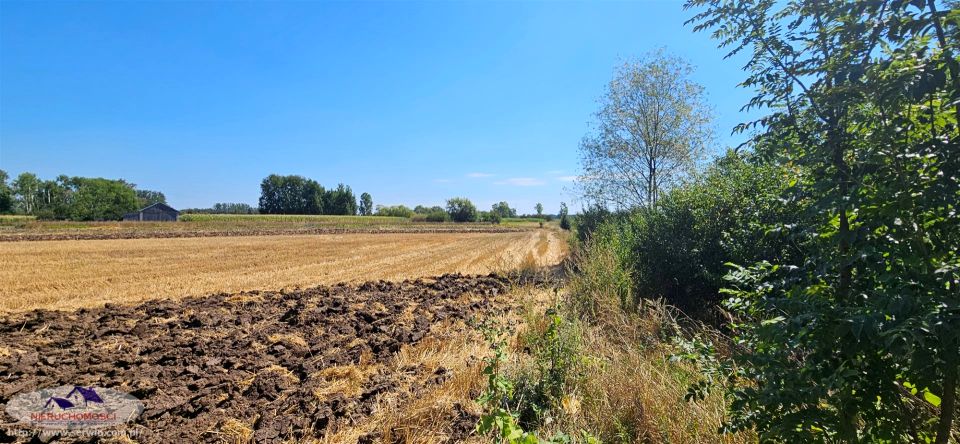 Działka rolna Karsy Dolne