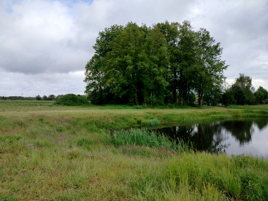 Działka budowlana Chobanin