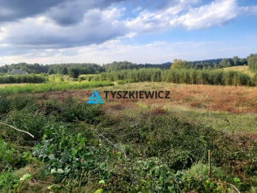 Działka przy lesie