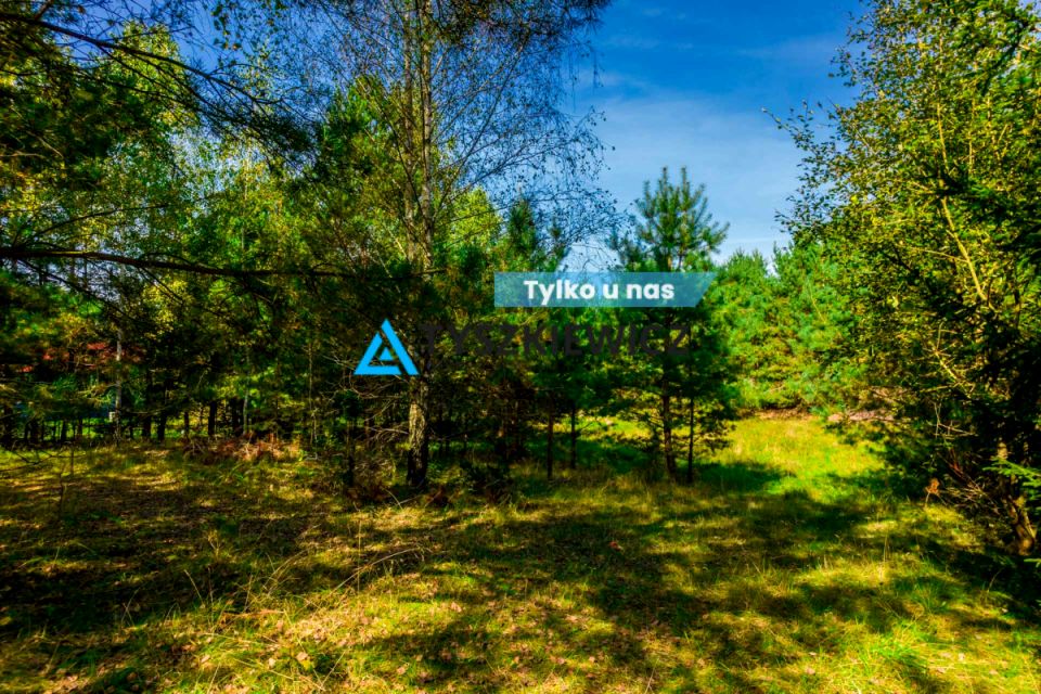 Działka nad jeziorem
