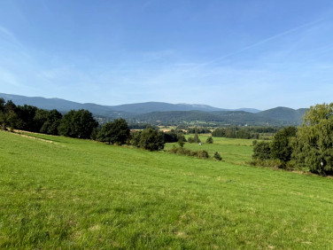 Działka rolna Jelenia Góra
