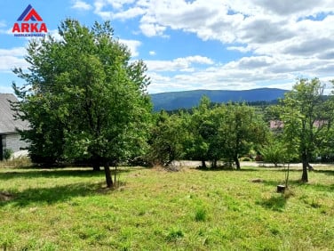 Działka Wilkowisko