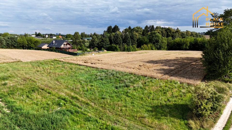 Działka Dąbrowica