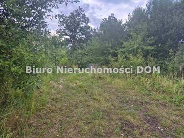 Działka usługowa Brzeziny-Kolonia