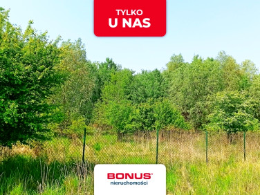 Działka Lusowo