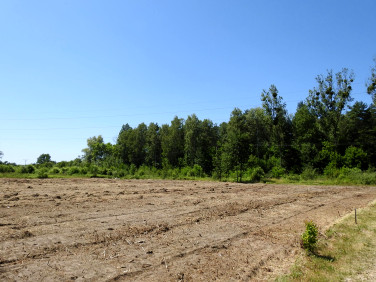 Działka budowlana Dobieszowice