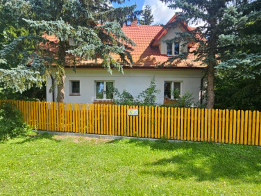 Dom wolnostojący sprzedaż