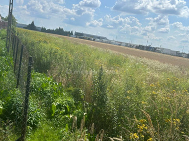 Działka inwestycyjna Sokołów