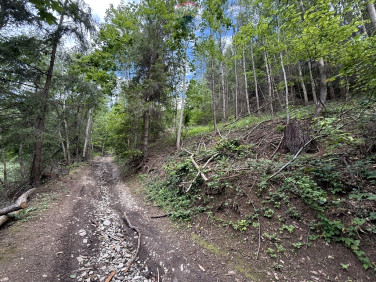Działka rolna Krościenko nad Dunajcem