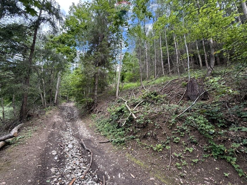Działka rolna Krościenko nad Dunajcem