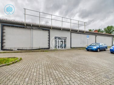 Lokal Nakło nad Notecią
