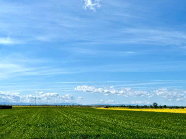 Działka budowlana Grodków