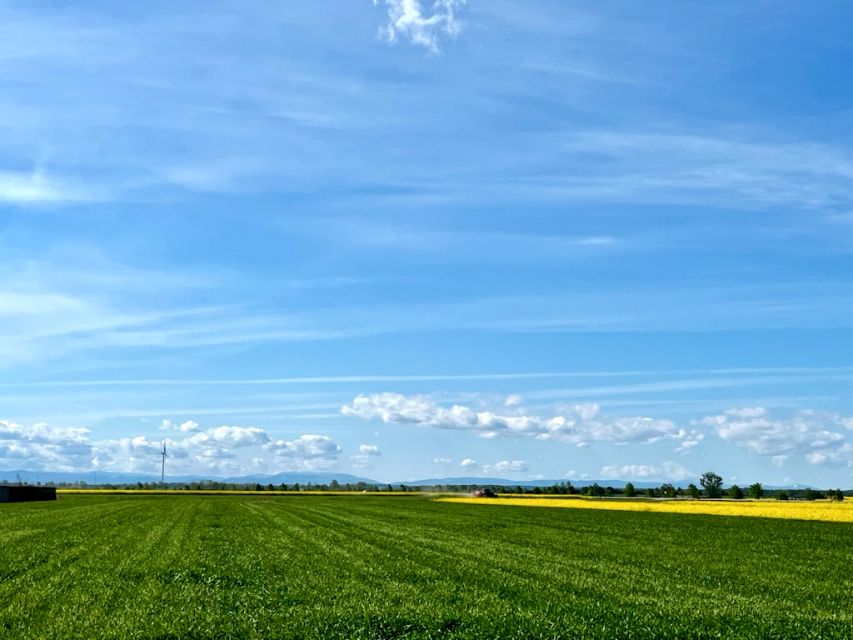 Działka budowlana Grodków