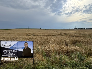 Działka Oleśniki