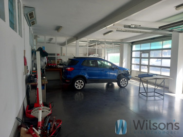 Lokal Sękocin Stary wynajem