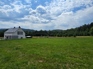 Działka budowlana Janowice Wielkie