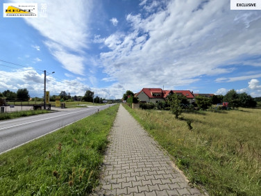 Działka usługowa Lubieszyn