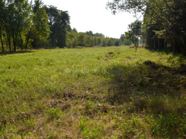 Działka budowlana Tomaszów Mazowiecki