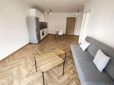 Lokal Katowice