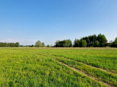Działka budowlana Żdżar
