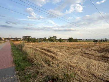 Działka budowlano-rolna Łosice