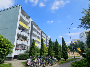 Mieszkanie Poznań