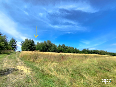 Pusta działka Bodzanów