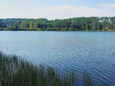 Działka budowlana Żuromino