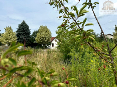 Działka przy lesie