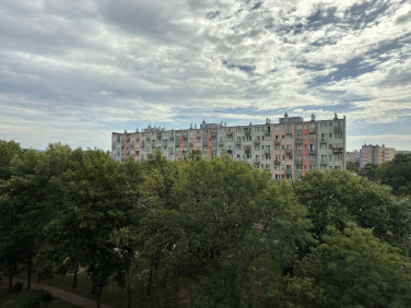 Mieszkanie Kielce