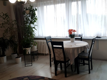 Mieszkanie Toruń