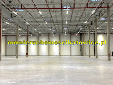 Budynek użytkowy Katowice