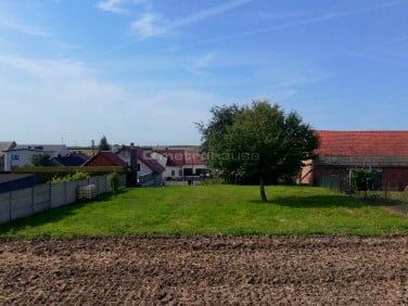 Ogrodzona działka Biedrzychowice