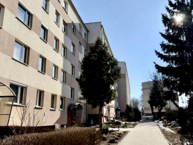 Mieszkanie Kielce