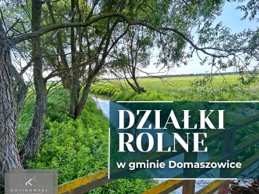 Działka przy lesie