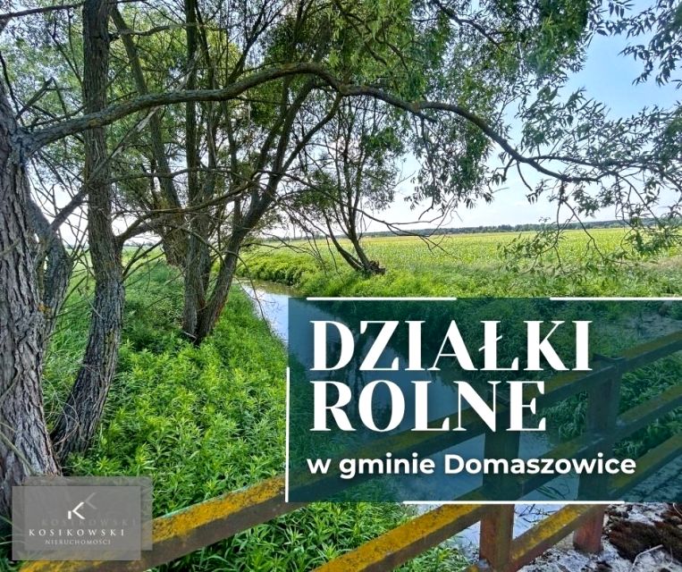 Działka przy lesie