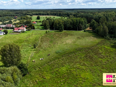 Działka Szprotawa